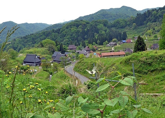9.200518上世屋Bウスバアゲハ4712smS.jpg